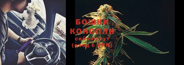 трава Гусев