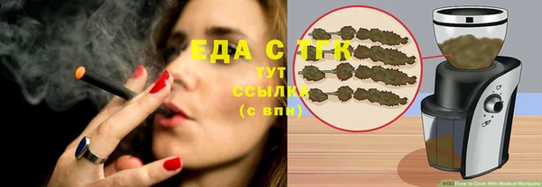 гашик Гусь-Хрустальный