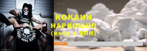 гашик Гусь-Хрустальный