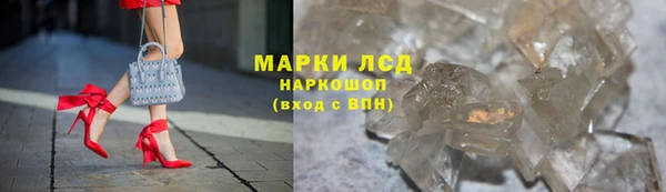 трава Гусев