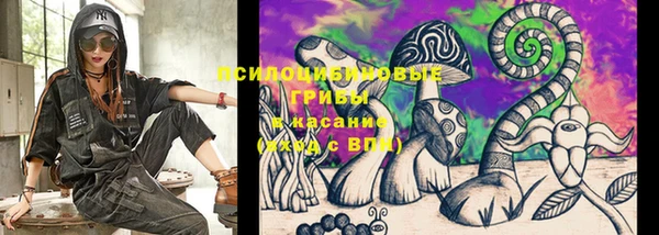 гашик Гусь-Хрустальный