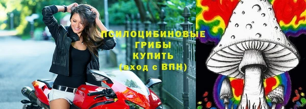 трава Гусев