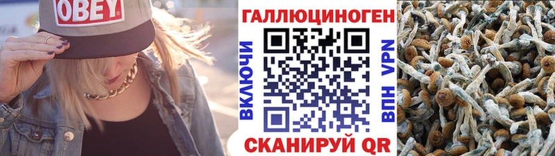 Галлюциногенные грибы ЛСД  закладка  Королёв 